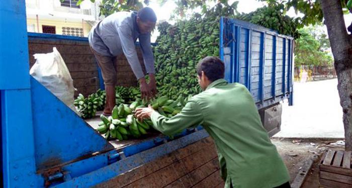 Empresa Provincial de Acopio perfecciona su gestión en territorio tunero