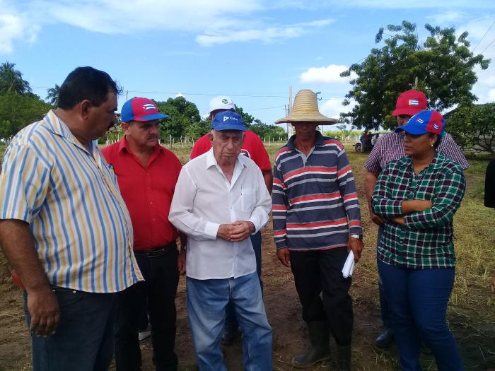 machado ventura