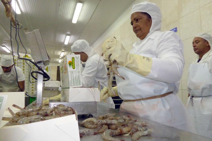 Para sentirse satisfecha, a Tomasa le basta tener «salud para trabajar y servir a los que quiero». Foto del autor