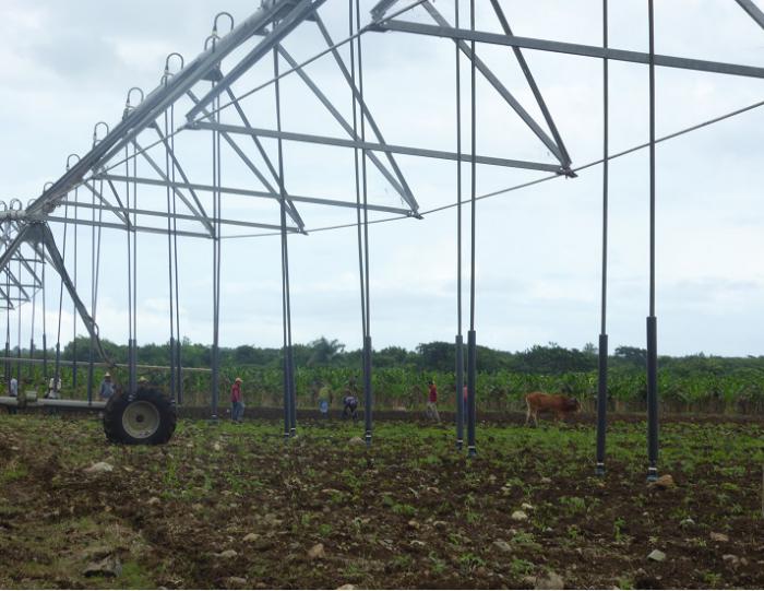 Utilizar el riego de manera eficiente es también una premisa en esta oriental provincia