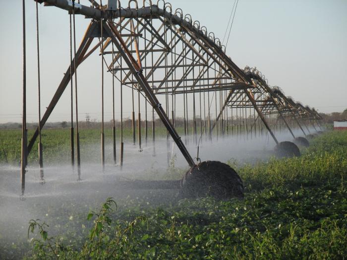 El sector de la agricultura será uno de los beneficiados con el reajuste de la red pluviométrica
