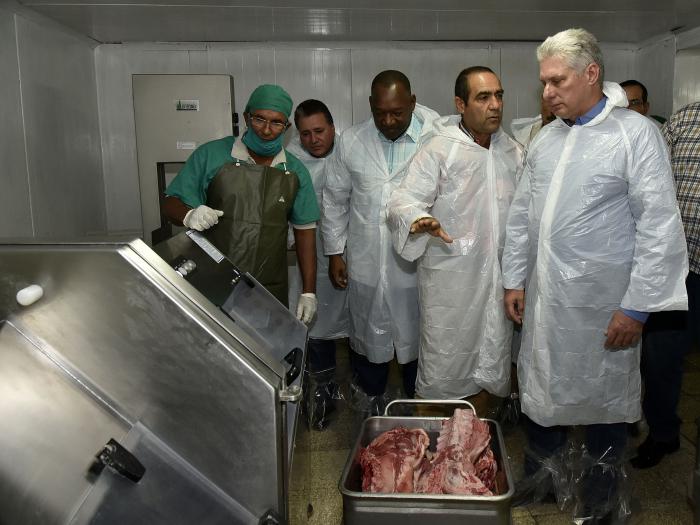 Díaz-Canel en el Combinado Cárnico de Turiguanó de la Empresa Pecuaria Genética Turiguanó