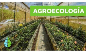 Agroecología
