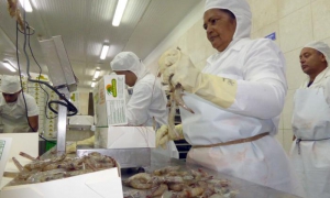 Heroína del Trabajo EPIGRAN