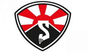 Avispas logo equipo de beisbol