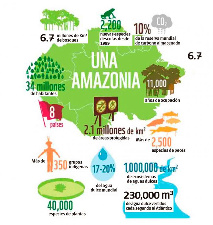 Amazonía