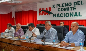 Pleno