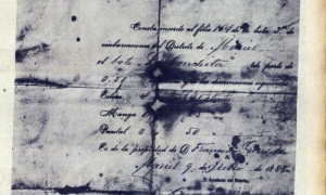 Certificación de la inscripción del bote La Conchita 