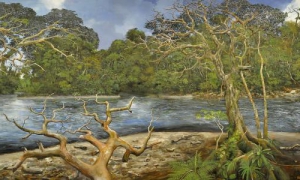Desembocadura, obra de Ramón Piaguaje.