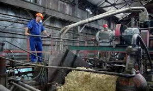 Trabajadores azucareros apuestan por la eficiencia