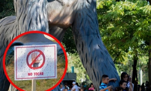 Lo que no nos puede faltar es la conciencia para cuidar el entorno, el ejemplo d