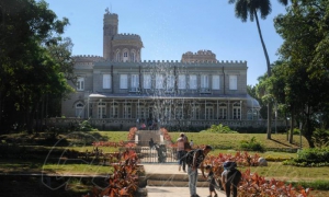 FINCA DE LOS MONOS