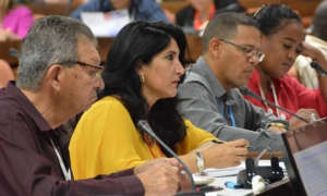 COMISIONES ANPP MARTES