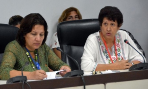 COMISIONES ANPP MARTES