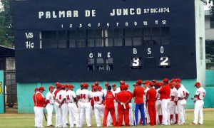 Palmar de Junco