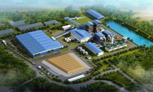 Comenzará a funcionar en enero próximo primera bioléctrica en Cuba
