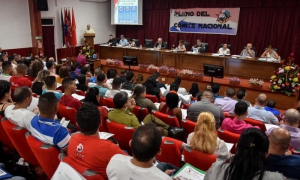 pleno de la ujc