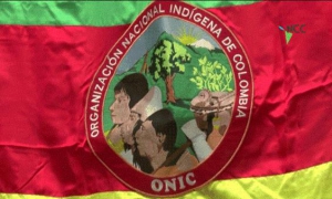 Las comunidades indígenas del país sudamericano continúan siendo víctimas de enf