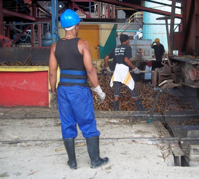  Llevar caña desprovista de materias extrañas al basculador, otro meta de los azucareros de Argeo Martínez para recuperar atrasos 