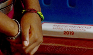 Referendo Constitucional Votaciones