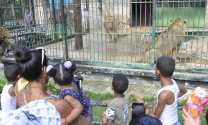 Zoologico