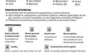AGRICULTURA URBANA