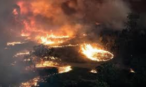 Incendios forestales fuera de control en el sureste de Australia