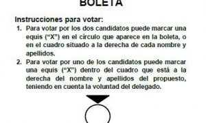Boleta de elecciones gobernadores