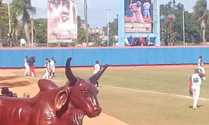 Toros y Cocodrilos: desafío total en la segunda cita