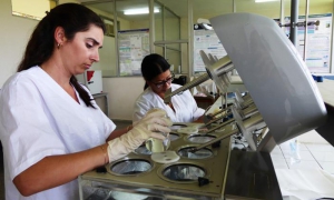 Imposible escribir de los resultados científicos en Villa Clara, sin mencionar e