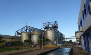 Destilería de Alcoholes Finos Alficsa Plus S.A