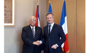 Cabrisas y Lemoyne revisan relaciones Cuba-Francia y sus perspectivas