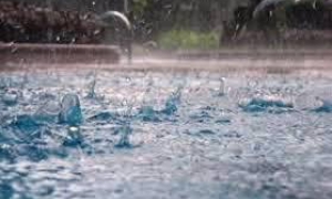 precipitaciones favorables 
