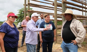 Machado Ventura