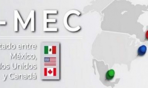 Tratado entre México, Estados Unidos y Canadá (T-MEC)