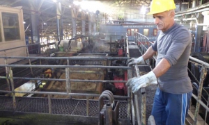 De la caña, azúcar, electricidad y mucho más