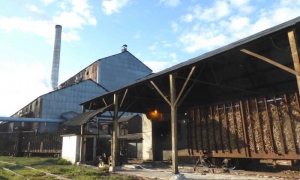 Además de cumplir sus compromisos de producción de azúcar hasta la fecha, el central Siboney sobre sale también en la generación de electricidad.