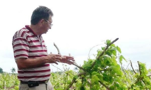 doctor Sergio Rodríguez