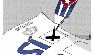 Caricatura voto si constitucion