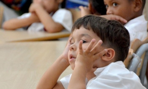 ESCUELA PRIMARIA RAFAEL MARIA DE MENDIVE