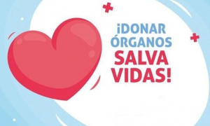 donacion de organos
