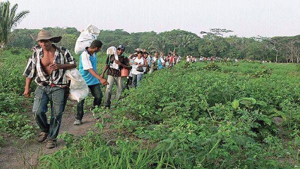 Los campesinos denuncian el olvido del Estado en la región a pesar de los enfrentamientos en el Cauca.