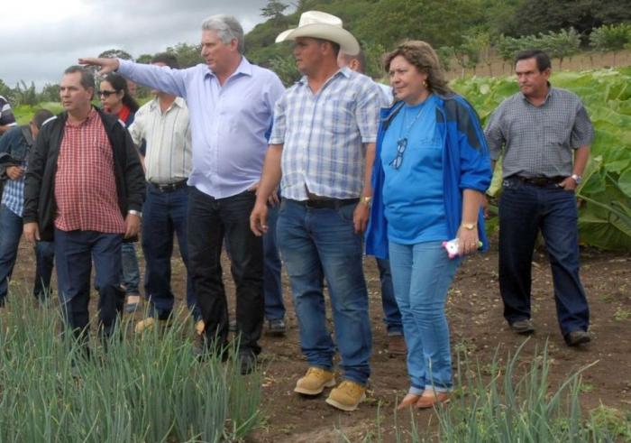 «Hay que sembrar distinto, buscar alternativas, porque necesitamos cumplir con los planes de siembra aunque no tengamos combustible y aquí hay talento suficiente para lograrlo», valoró el Presidente. 