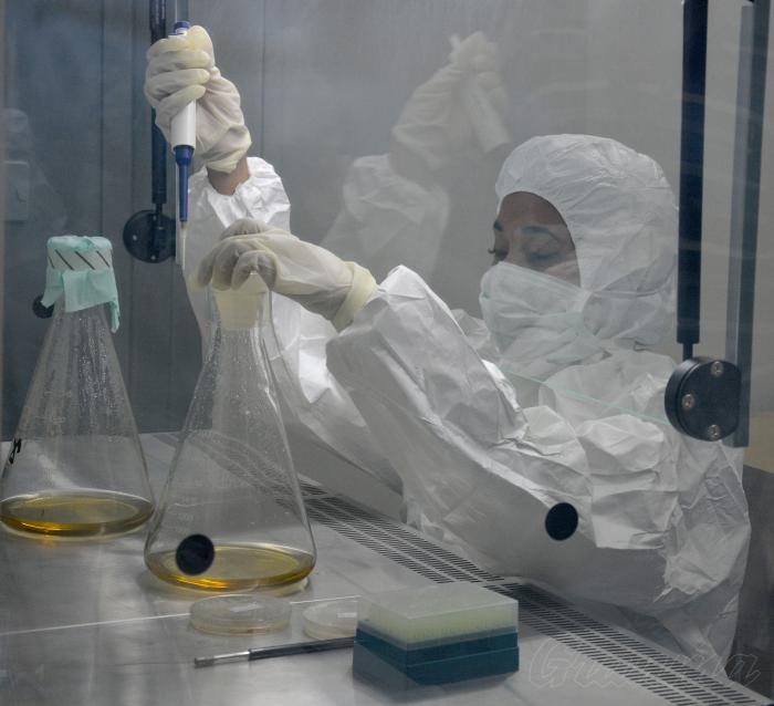 Centro de Ingeniería genética y Biotecnología. Producción del Interferón Cubano.