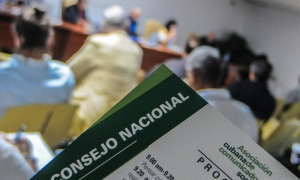 Consejo Nacional de la ACCS-2020