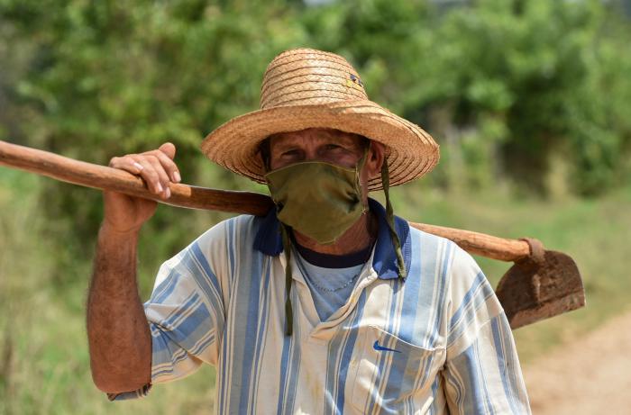 Campesino tomando medidas de precaución por el Coronavirus (Covid-19); en Zaragoza, Mayabeque