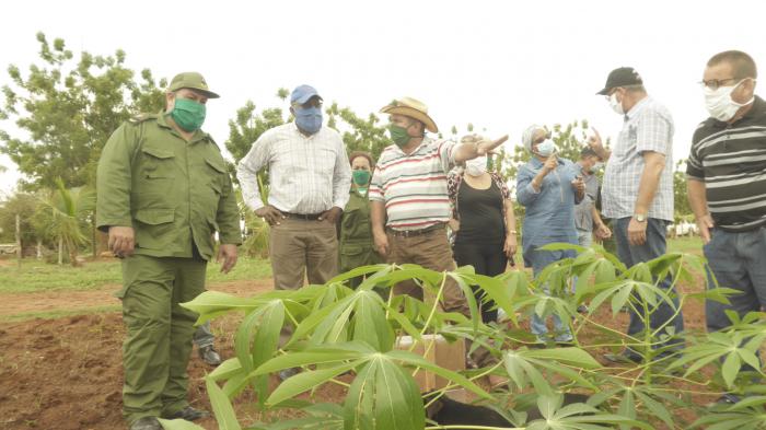 valdes mesa en cienfuegos yuca