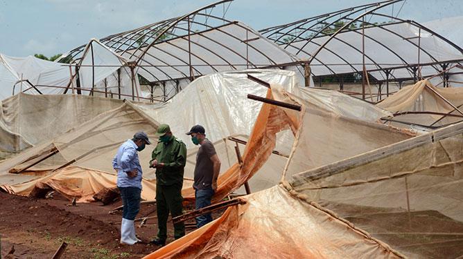La mayoría de las casas de cultivos en la zona de Ceballos sufrieron daños. Foto: Osvaldo Gutiérrez Gómez