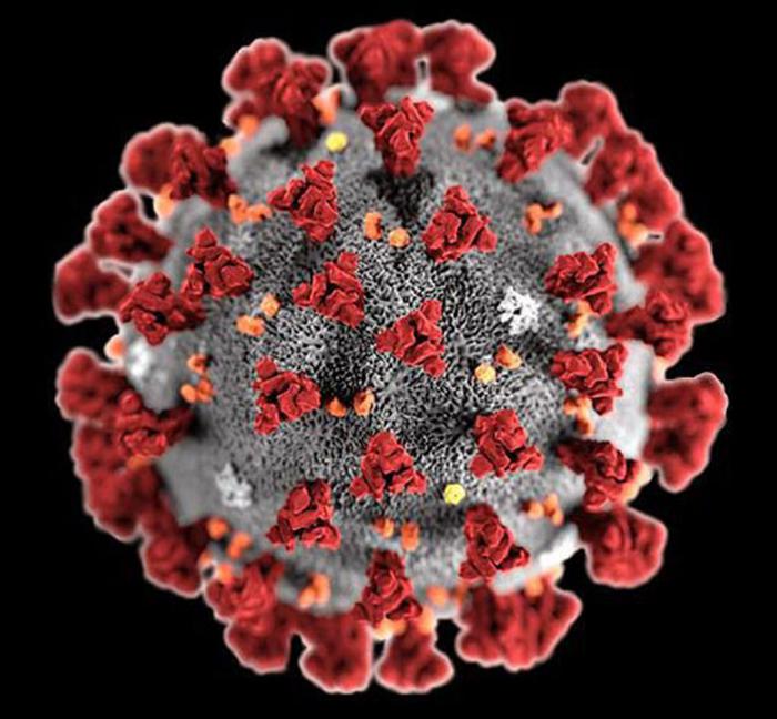 coronavirus