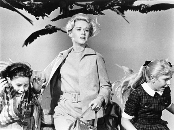 Son muchos los ejemplos de adaptaciones exitosas, como Los pájaros (1963) de Alfred Hitchcock, basado en la novela de Daphne du Maurier.